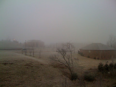 Fog Morning Fog