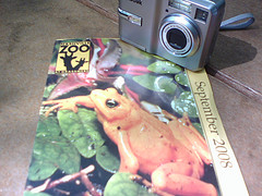 Morning at the Nashville Zoo