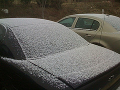 Morning Snow