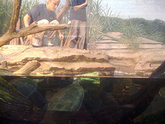 Chicago Trip 2009 - IMG_0944