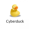 Application Icon