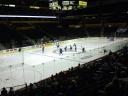 Predators Cup